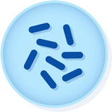Brevibacillus agri ATCC 51663 (6 Units) MICROBIOLOGICS 0139
