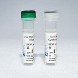 AzuraQuant™ II cDNA Synthesis Kit