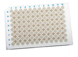 Microplacas de 96 Pozos Fondo Plano de media área, fabricadas en poliestireno blanco sólido, con tratamiento TC, 20 por bolsa, con tapa, estériles, Corning® 3688
