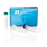 HighTherm™ Reverse Transcriptase, Marca AZURA GENOMICS