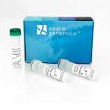 Azura HS Taq DNA Polymerase