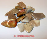 KNVEKO100 KNUFFELSTENEN VERSTEEND KORAAL ZAKJE VAN 100 GRAM