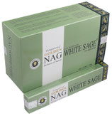ESNAGWHSA NC GOLDEN NAG WITTE SALIE 12 ST