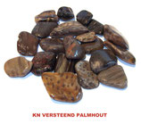 KNPALM100 KNUFFELSTENEN VERSTEEND PALMHOUT 100 GRAM