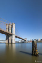 New York (22046875)