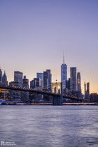 New York (21046559)