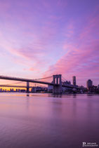 New York (21046668)