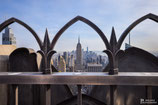 New York (28047323)