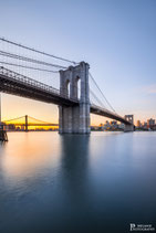 New York (22046742)