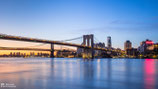 New York (22046719)
