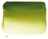 Sennelier Artist Watercolour S1 [813] -Olive Green Tube 21ml