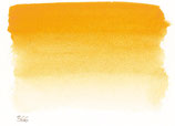 Sennelier Artist Watercolour - S1 [566] -Naples Yellow Deep