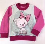 Pulli Katze