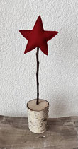 Birken-Stern klein