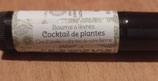 Baume à Lèvres Cocktail de Plantes