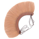 Röm. Holz-Helmbusch, Crista, blond