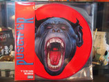 Produktname:Puscifer - V is for Viagra - The Remix -Picture - Disc RSD 2016