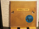 Bruce Springsteen - Vinyl Collection Vol.2 -10 LP-Box -Vinyl