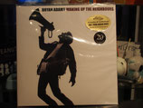 Bryan Adams-Waking up the Neighbours -Vinyl