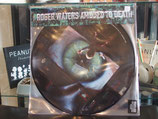 Roger Waters-Amused to Death-Picture Disc