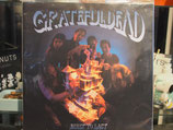 Grateful Dead - Built to Last