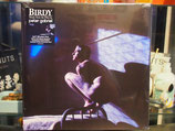 Peter Gabriel - Birdy-Vinyl