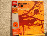 Wishbone Ash  ‎– Pilgrimage - Vinyl