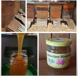 Honig aus der Landgarbe 500g
