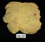 19. Wienerschnitzel 150 - 180 g