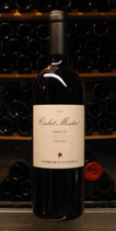 DOMENICO CLERICO Barolo Ciabot Mentin Ginestra 2019