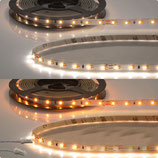 LED CRI919/940 MiniAMP Flexband, 24V, 10W, weissdynamisch, 250cm, beidseitiges Kabel mit male-Stecker