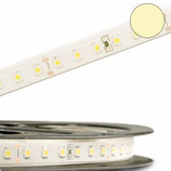 LED AQUA827-Flexband, 24V, 10W/m, IP68, warmweiss