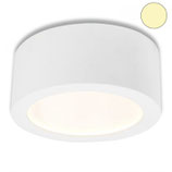 LED Aufbauleuchte LUNA 8W, weiss, indirektes Licht, warmweiss