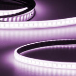 10m Rolle LED AQUA RGB-Linear-Flexband, 24V, 12W, IP67