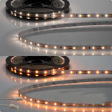 LED CRI919/940 MiniAMP Flexband, 12V, 10W, weissdynamisch, 250cm, beidseitiges Kabel mit male-Stecker