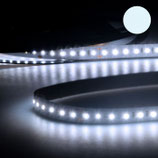 15m Rolle LED CRI965 CC-Flexband, 24V, 12W, IP20, kaltweiß