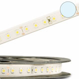 LED AQUA862-Flexband, 24V, 10W/m, IP68, kaltweiss