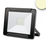 LED Fluter 30W, warmweiss, schwarz, IP65
