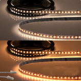 LED CRI919/940 MiniAMP Flexband, 24V, 15W, weissdynamisch, 250cm, beidseitiges Kabel mit male-Stecker