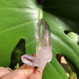 VeraCruz Amethyst : 1