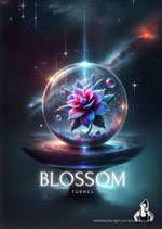 BLOSSOM Workshop