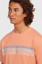 ONEILL LOGO STRIPE