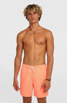 ONEILL VERT 16 SWIMSHORTS