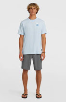 ONEILL HYBRID 19" MELANGE SHORTS