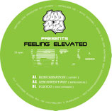 Lavery / Renegade Hz / Sync Dynamix – Feeling Elevated