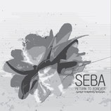 SECRET OPERATIONS REISSUE VOL 4