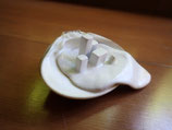 蜃気楼