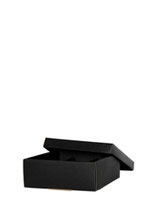 Karton schwarz für 3 x 0,2 l Flaschen