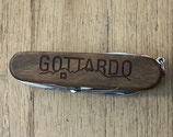 Victorinox Gottardo 2016
