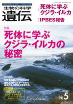 遺伝 2019年09月号（73-5）　死体に学ぶクジラ・イルカ/IPBES報告